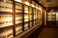 파주나비나라박물관