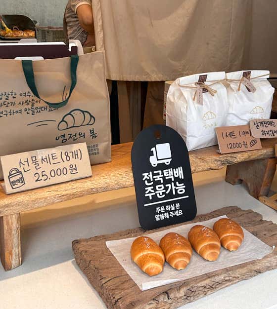염전의봄 사진