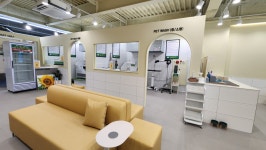 버블독스 광주쌍암공원점