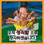 다팜큰바다수산