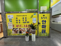 송창운안마원