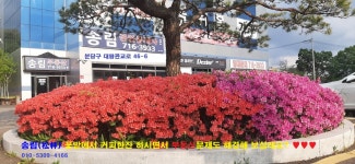 송림공인중개사사무소
