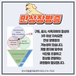온누리동물의료센터
