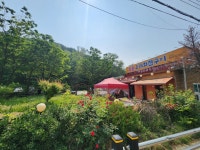 평강 오리타운