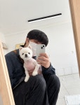 댕 그루밍
