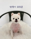 댕 그루밍