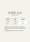 댕릉원 애견유치원 애견호텔 대형견유치원 대형견호텔