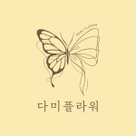 다미플라워앤데코