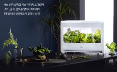 맥PC카페 & 코인노래방 본투비점