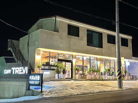 트레비 사진