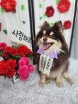 젤리펫살롱with아로마