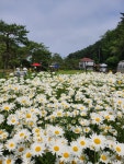초당지 카페펜션