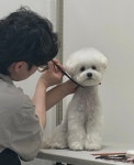 플러플리 FLUFFLY