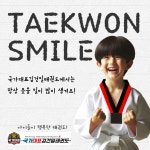 국가대표김건일태권도