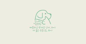 강서하이동물병원