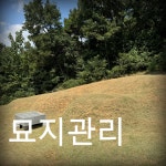 고은조경
