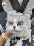 함께냥 전주점
