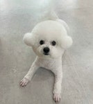 무거동 봄이네