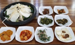 참살이콩이야기