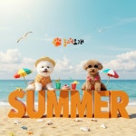 놀러오개 애견유치원 애견호텔 산동옥계점