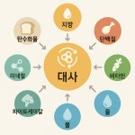 블리스 스킨바디