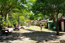 계곡과소나무펜션