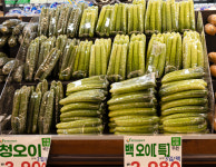 팜스식자재마트 GTX점