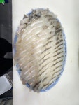 회바라기