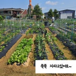 하늘빛어린이집