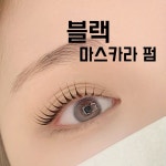 헤일로뷰티 속눈썹펌&눈썹