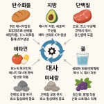 블리스 스킨바디
