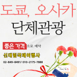 신대림국제여행사