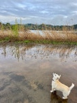 청풍스테이바다