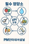 블리스 스킨바디