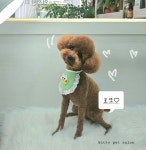 키티펫살롱
