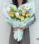 플라소피