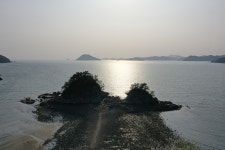 한그루 하우스