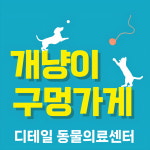 개냥이 구멍가게
