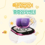 지엔바디닥터 마동공식대리점