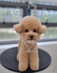 덕개