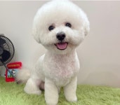 에바가위컷전문점