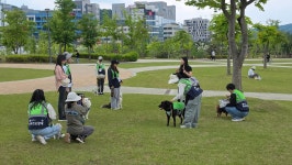 온마음동물교감센터