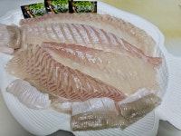 화성락실내바다낚시터