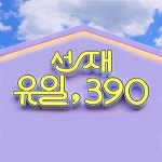 선재유일390