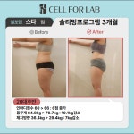 셀포랩 스타
