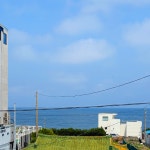 놀다가민박
