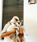 견생연구소 애오