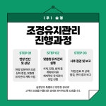 숲정
