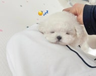 멍그레 부평점