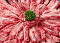 황경섭안동황우촌